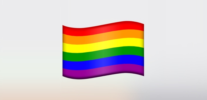 cross out gay flag emoji