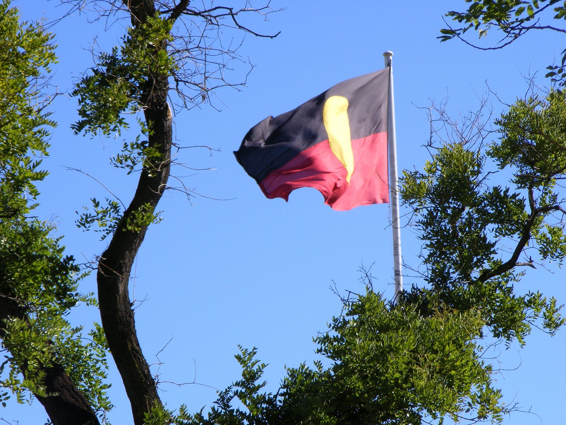 Aboriginal_Flag_-_Victoria_Square