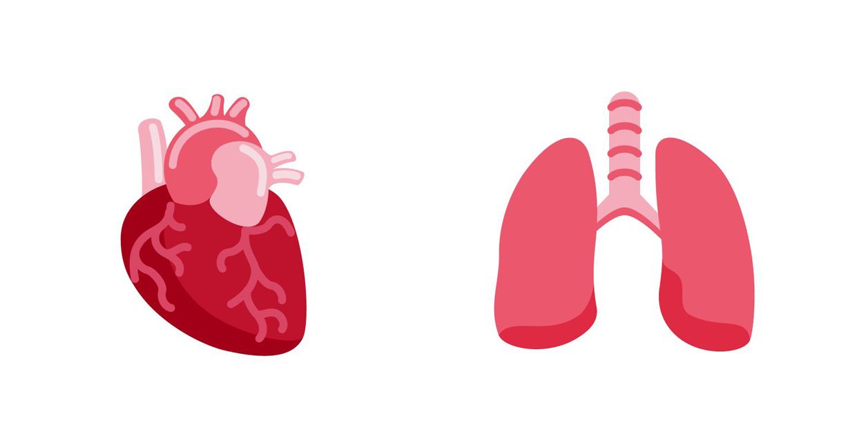 Emojipedia-Twemoji-13-Heart-and-Lungs-2