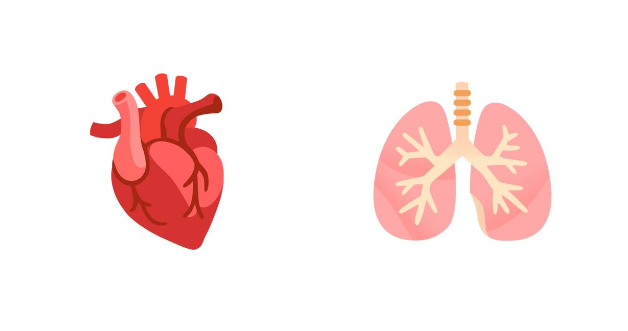 Emojipedia-Android-11_0-Anatomic-Heart-and-Lungs